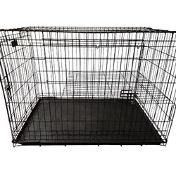 Petmate Large Dog Crate, 42 inch, 2-Door, Folding, Wire Dog Kennel with Removable Tray