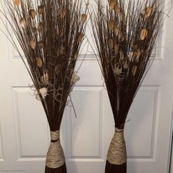 House Decoration Plants