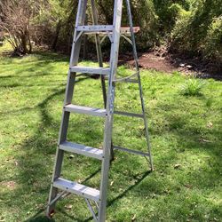 6Ft Ladder