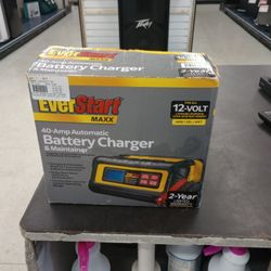 Ever start Battery Charger