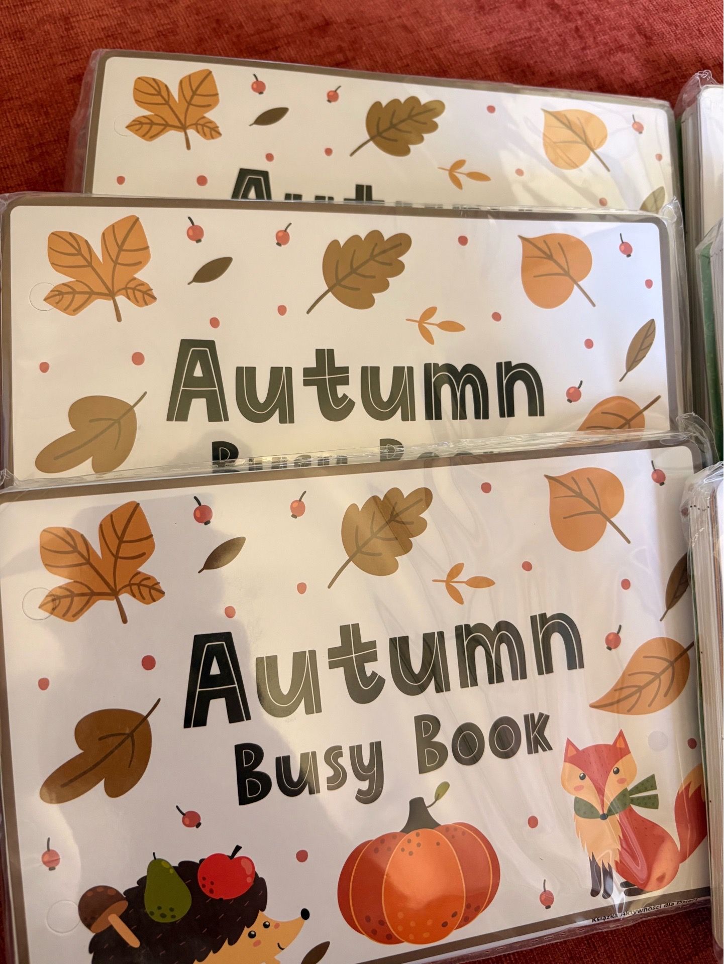 Busy book