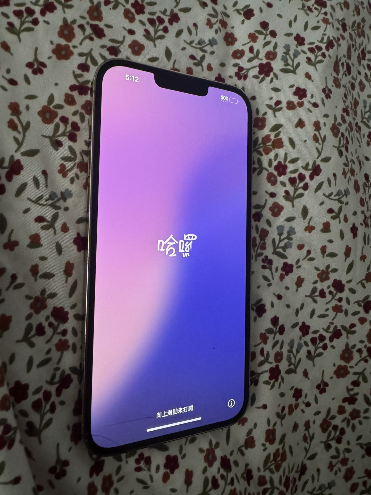 IPHONE 13 Pro Max