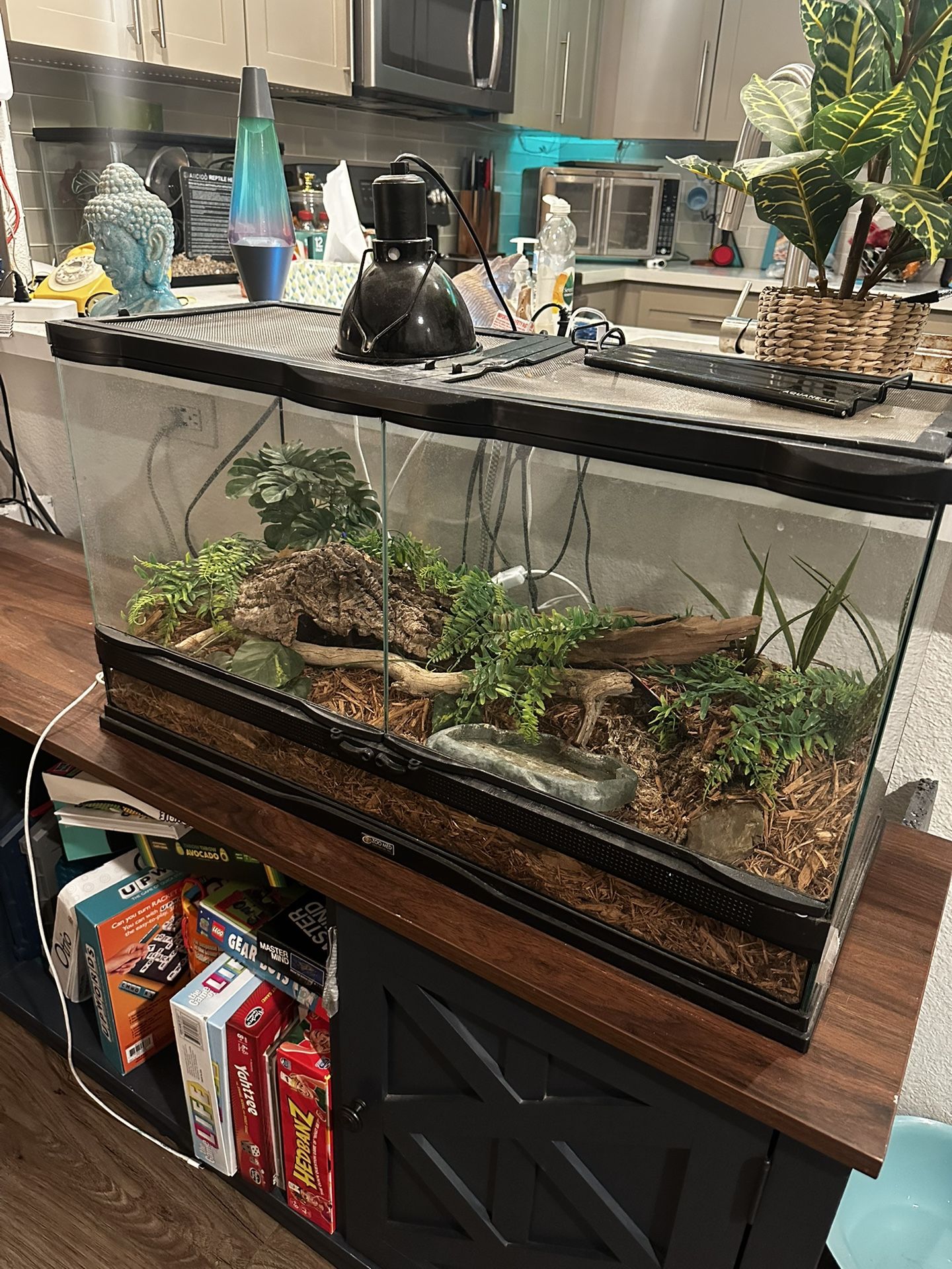 Reptile Tank 40 Gallon