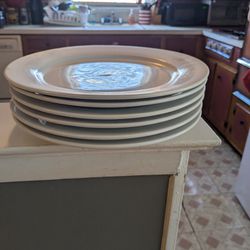 6 White Plates 