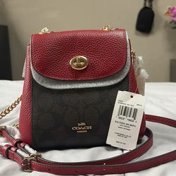NWT RED AND BROWN COACH BAG WITH GOLD HARDWARE