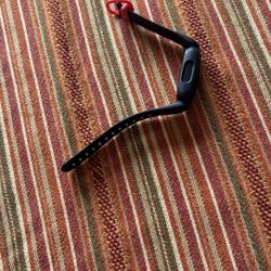 Fitbit Ace 3 For Kids