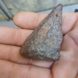 Stony - Iron  Meteorite 