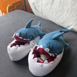 Kids Character Slippers