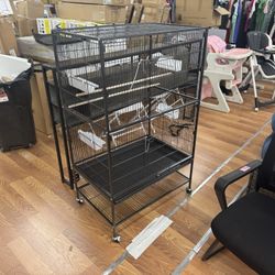 Bird Cage 