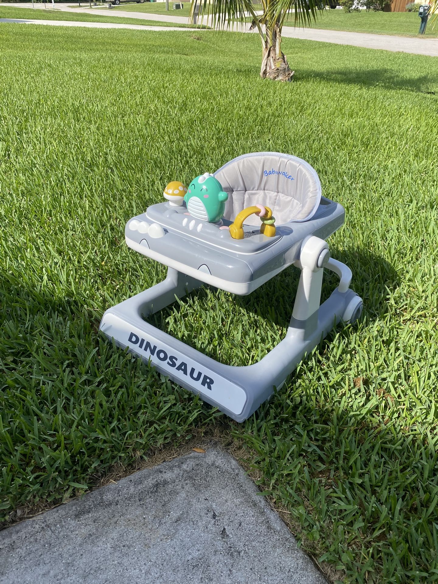 Baby Walker