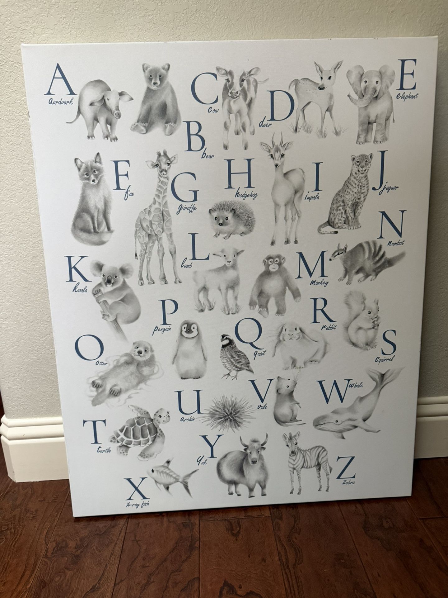 Nursery Animal Alphabet Print Canvas 