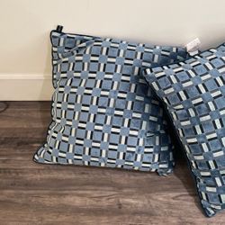 Brand New Z Gallery Accent Pillow