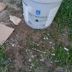 Grey Exterior Paint For Sale New 80 Bucks