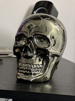 Skull Decoration