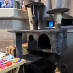 Used Gray Cat Tower
