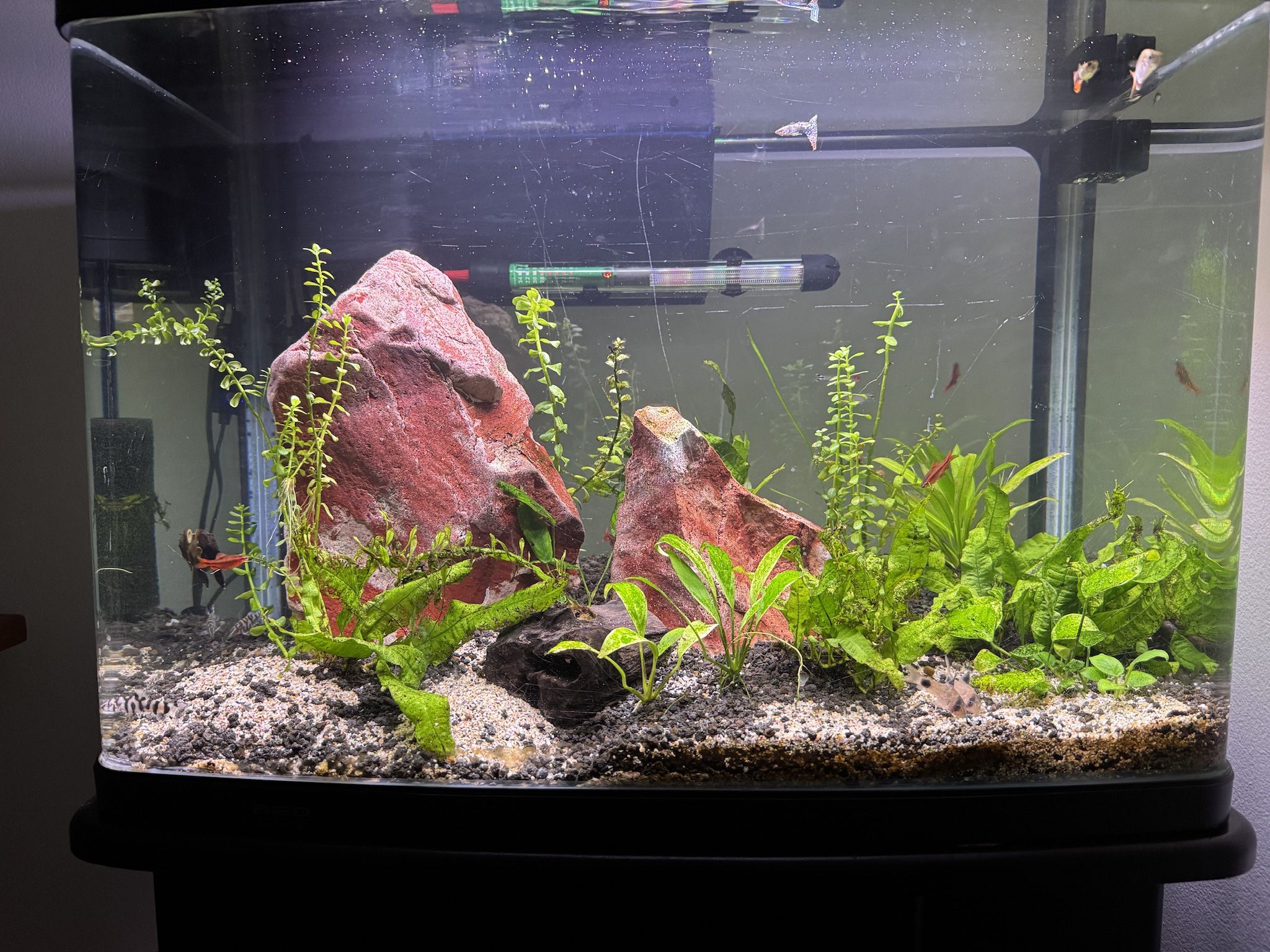 Fish Tank/Aquarium Accessories, Decorations, Toys