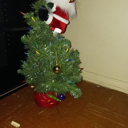 Little Decorated Christmas Tree