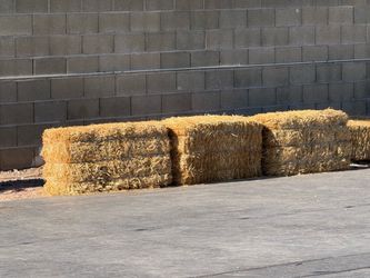 Hay bales $15 each