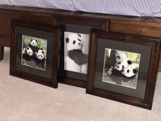 NEW Pottery Barn Framed Panda Set (3 total)