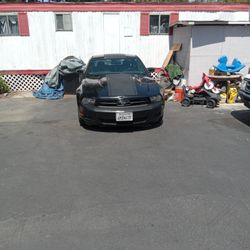 2010 Ford Mustang V6