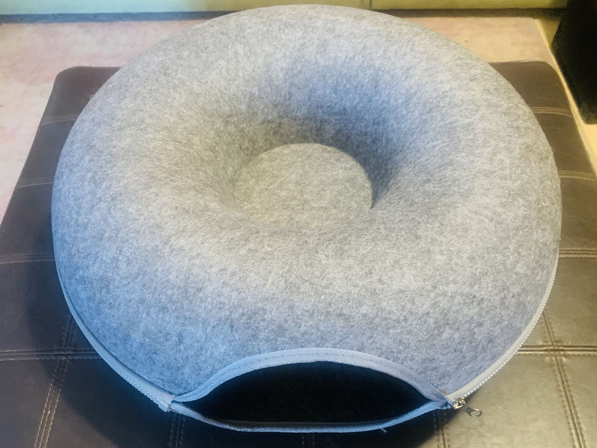 Cat 🐈⬛ 🍩 Donut!