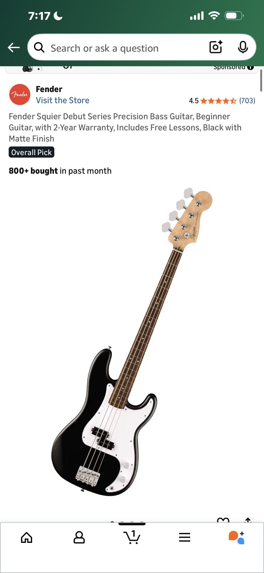 Electric Bass Guitar
