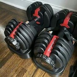 Adjustable Bowflex Dumbbells Set With Stand 