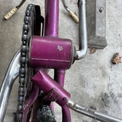 Schwinn 1966 Girls Bike 20"