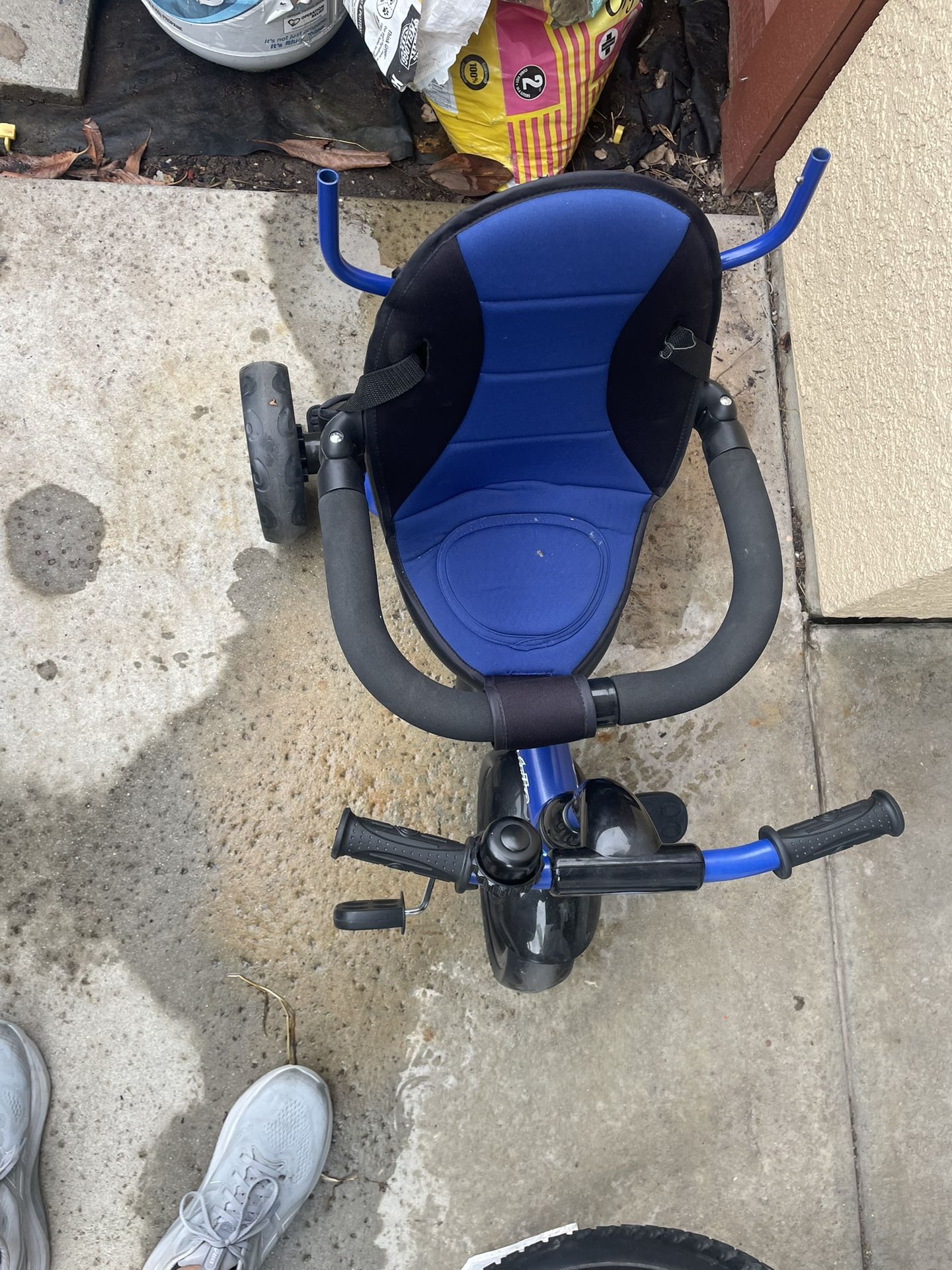 Infans Trike