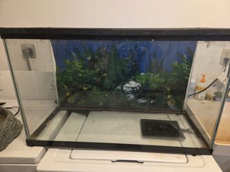 29 Gallon Reptile Tank With Lid And UTH