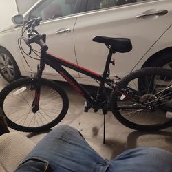 nishiki bike