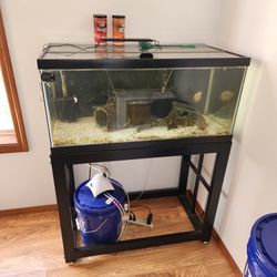 40gal Aquarium Setup