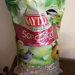 Bird food