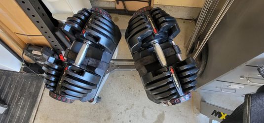 Bowflex 1090 (10 to 90lbs)