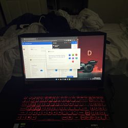 Acer Nitro 5 