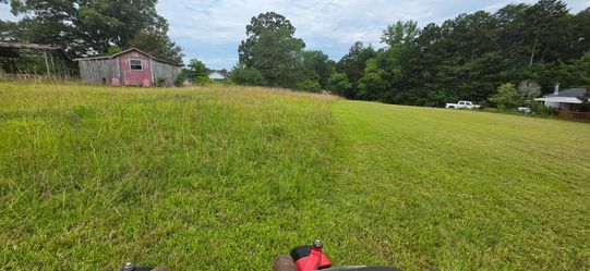 Grass for sell