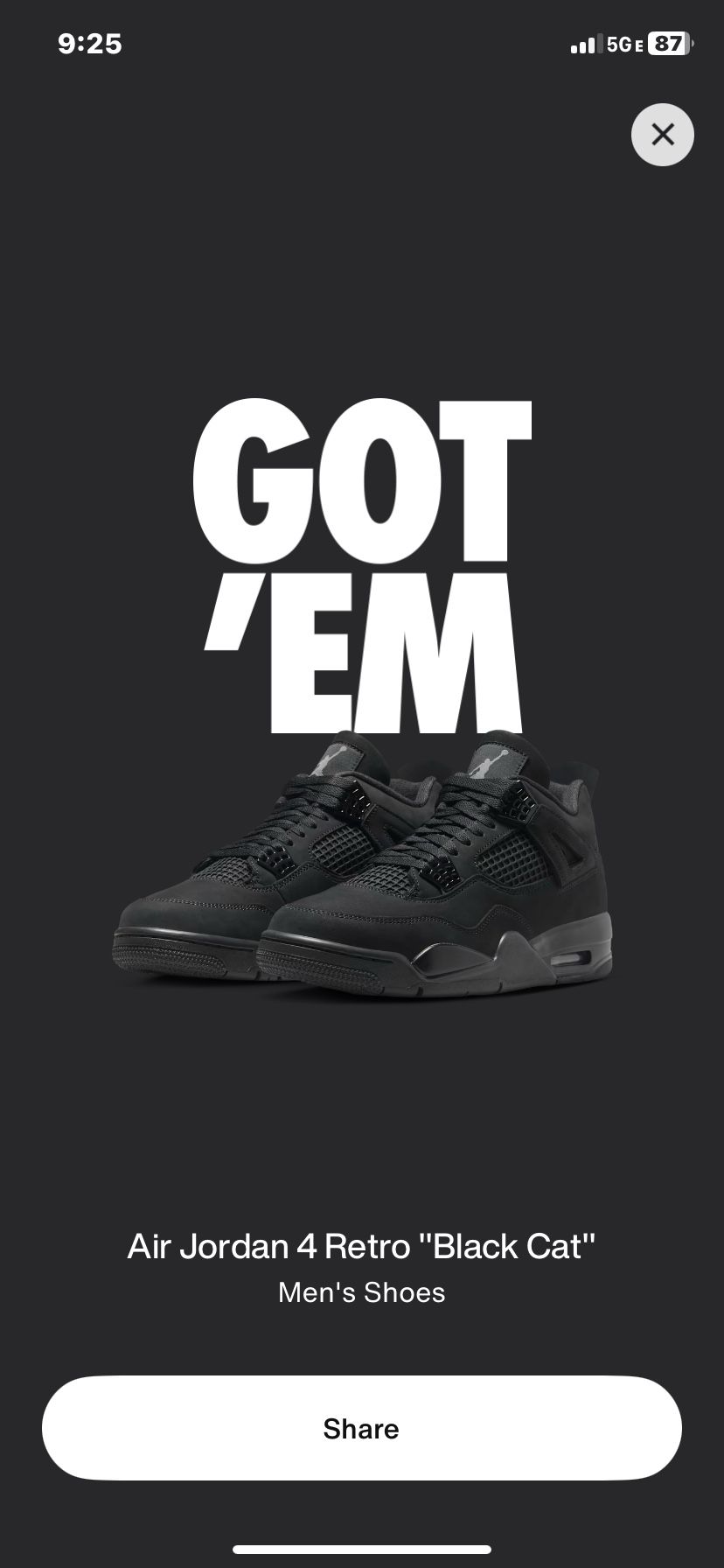 Air Jordan 4 Black Cat