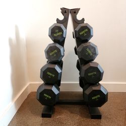 Rubber Hex Dumbbell Set w/ Rack (180 lb total)