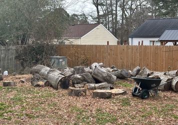Free Firewood