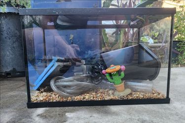Small Fish Tank