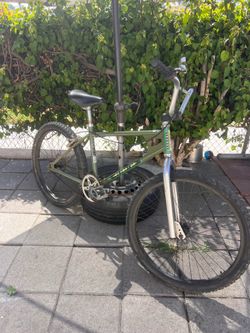24” Schwinn stranger things limited edition