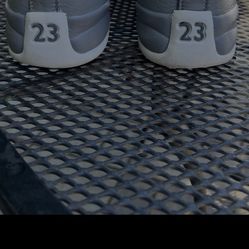 Jordan 12s