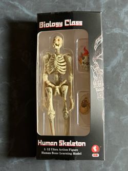 1/12 Scale Skeleton Action figure NEW