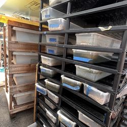 Vision cage Snake racks