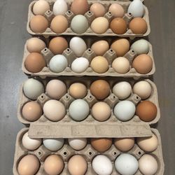 Eggs 🪺 🥚 