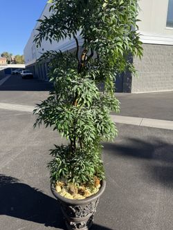 Tree