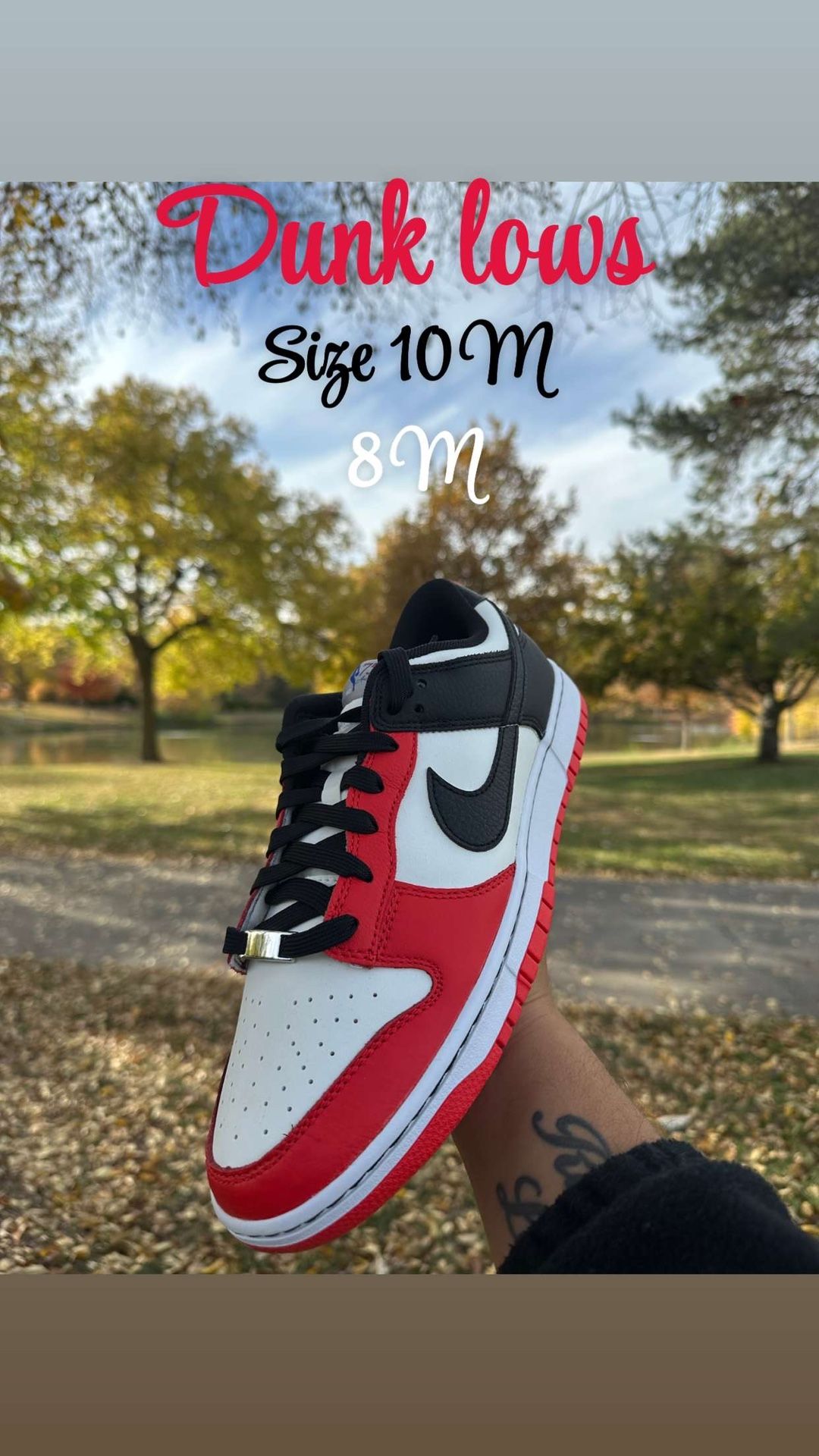 Nike Dunk Lows Plus More !