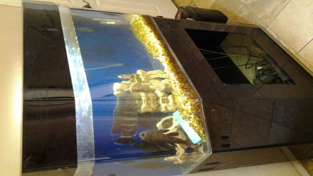 Fish tanks and stand and more