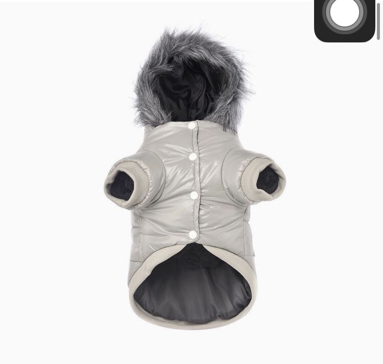 Dog Clothes