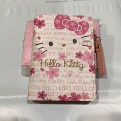 Hello Kitty Wallet Coins 
